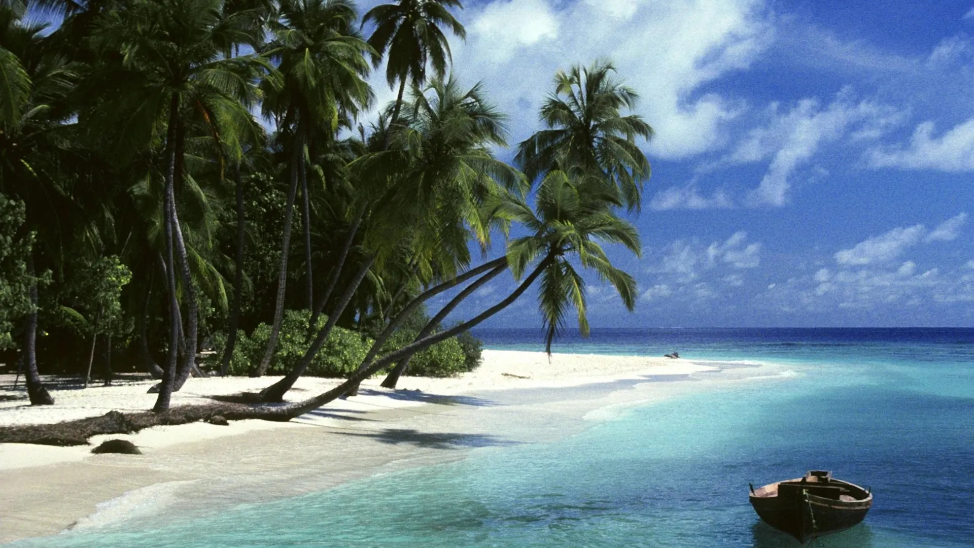 M. Lohmann/blickwinkel