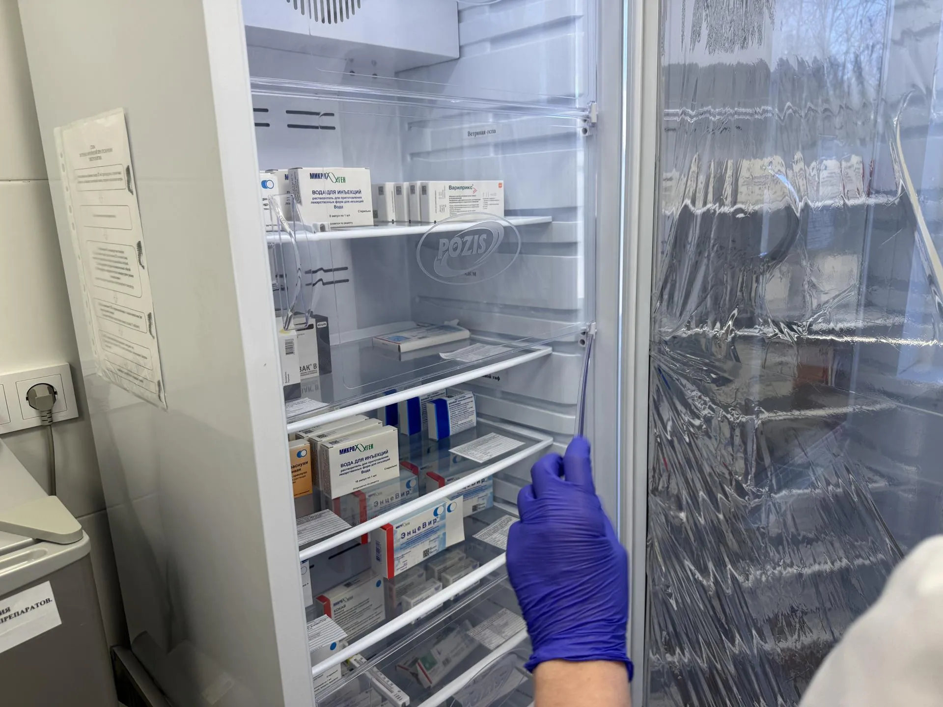 REGIONS/Полина Абраменко