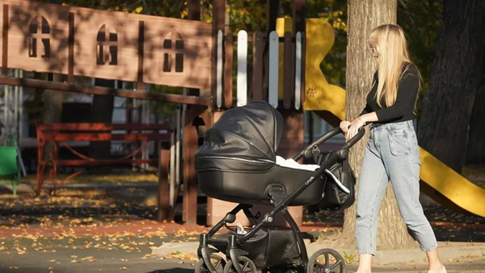 Фото: Министерство благоустройства Московской области