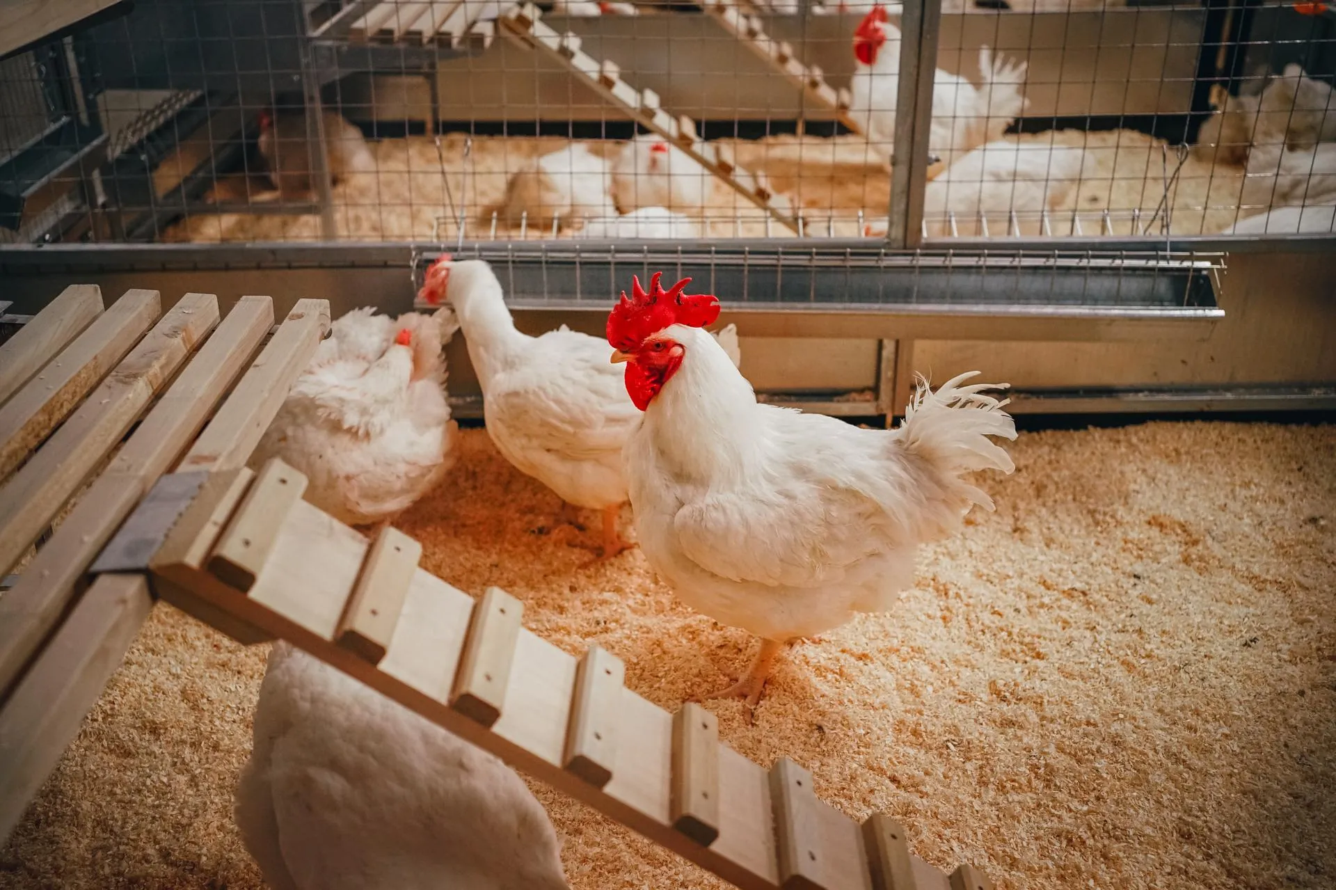 Фото: Наталья Майорова