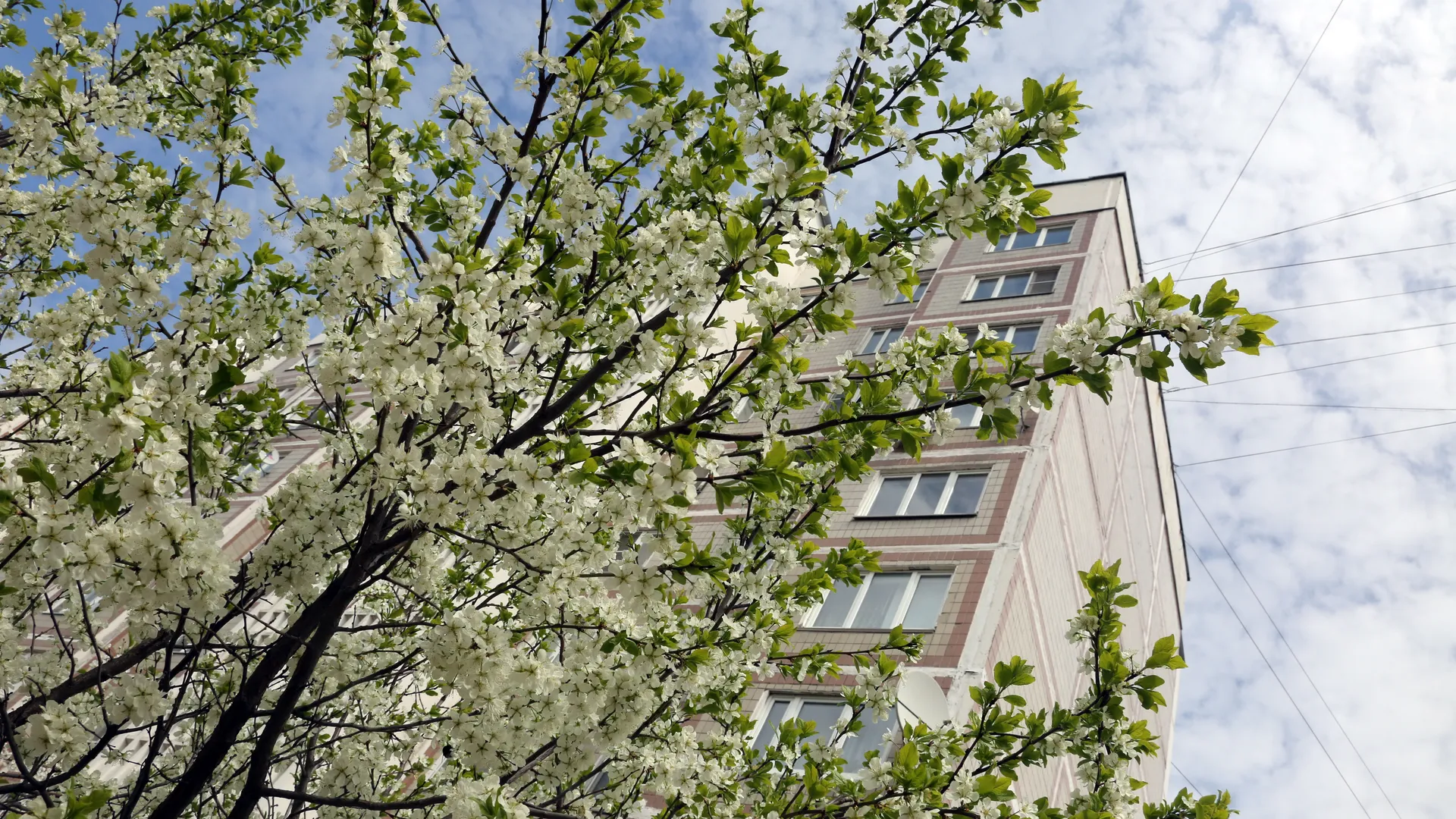 медиасток.рф