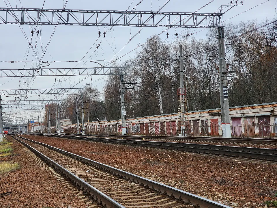 Фото: МедиаБанк Подмосковья/Роман Савельев