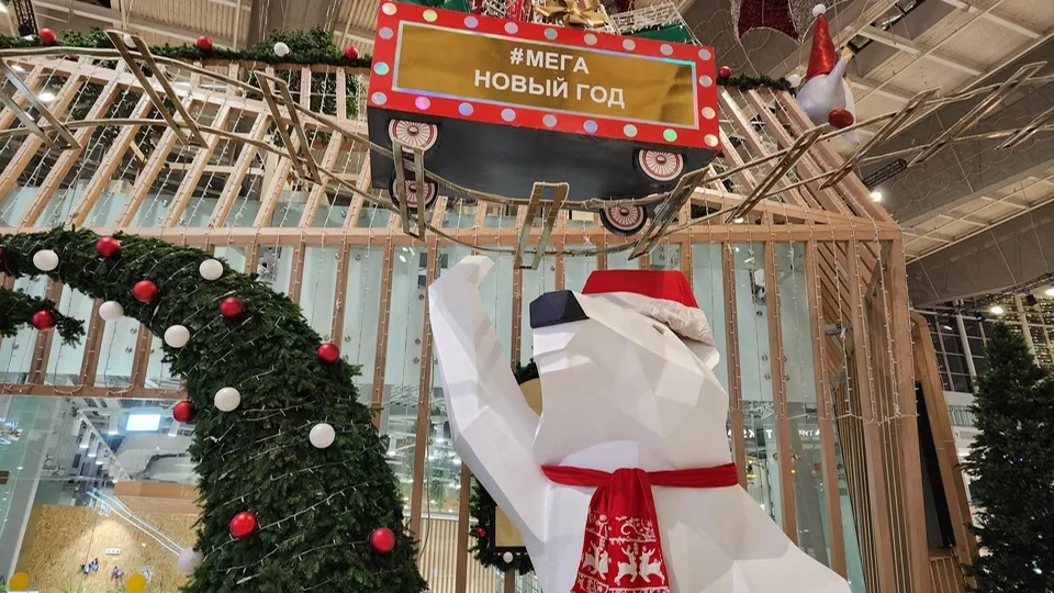 Фото: МедиаБанк Подмосковья/Дарья Савинова