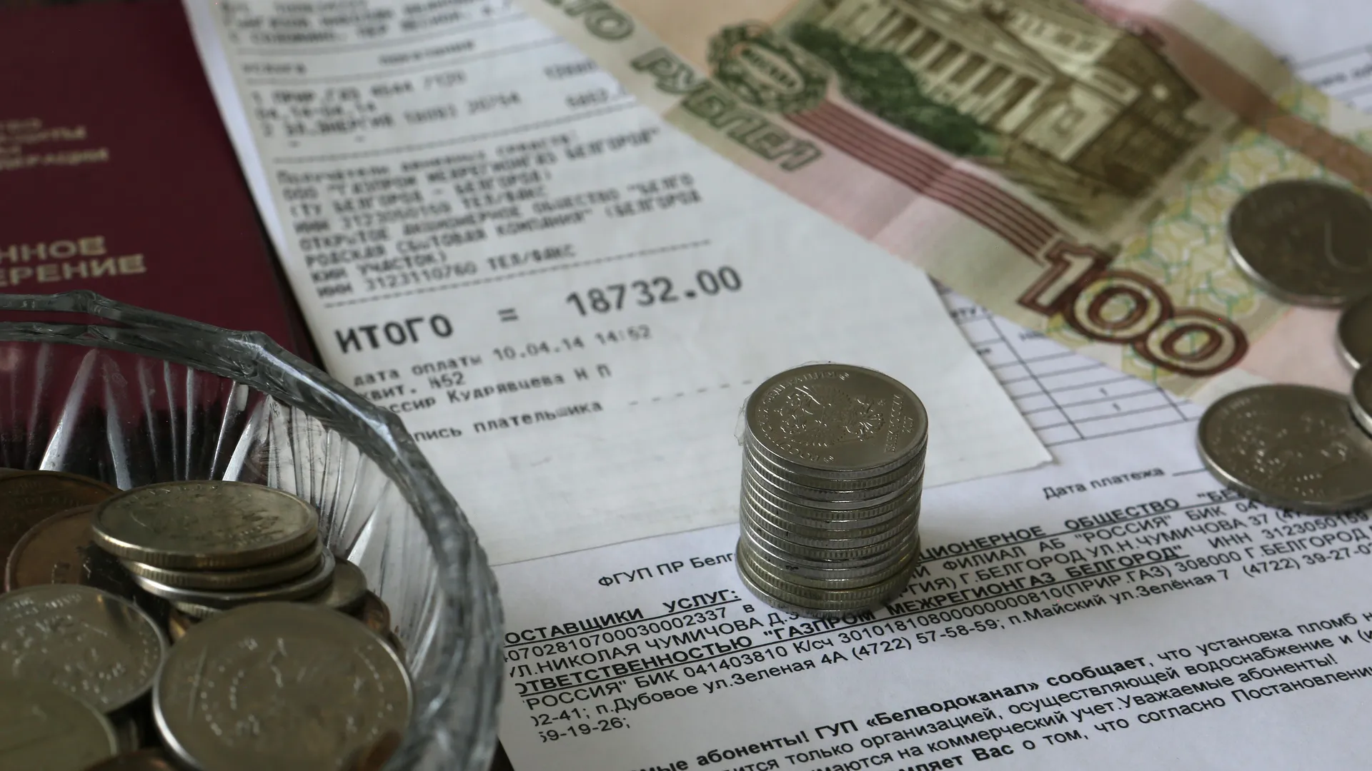 Фото: ТАСС/Николай Гынгазов