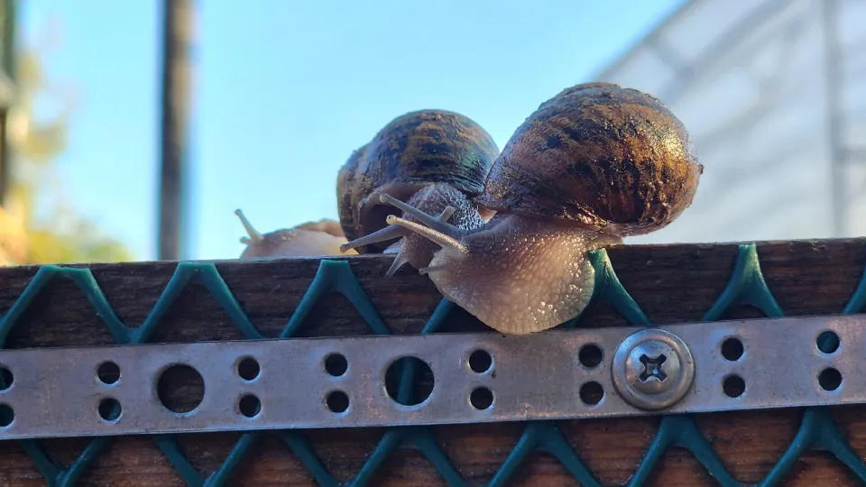 Фото: МедиаБанк Подмосковья/Валентина Максимова