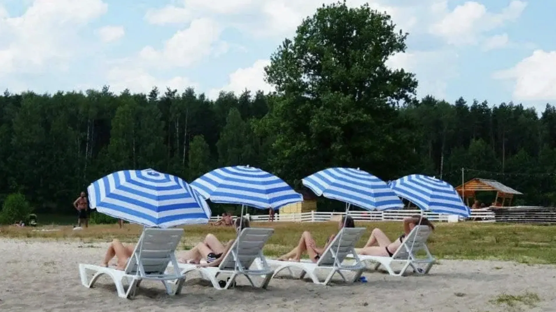 Фото: министерство благоустройства МО