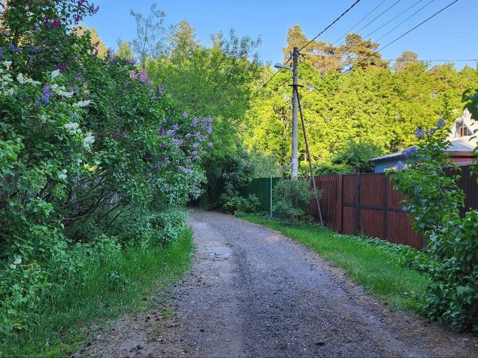 &nbsp;Фото: Наталья Лымарь