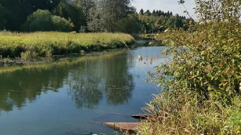 Фото: Министерство экологии и природопользования Московской области