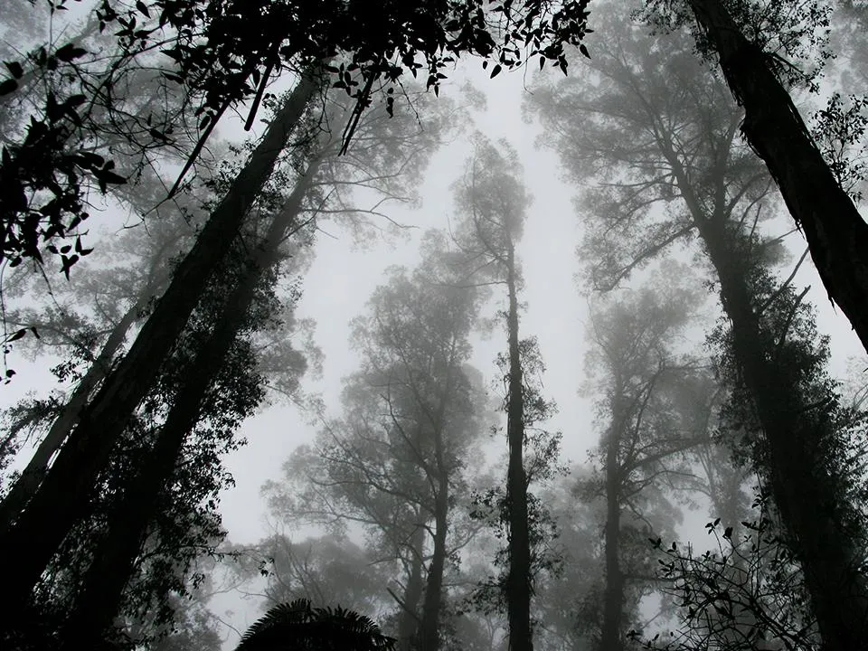 «Опасный разлом реальности»: экстрасенс назвал паранормальные места в России, куда лучше не приезжать