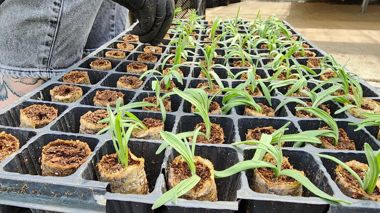 Фото: Ольга Фельдфебелева