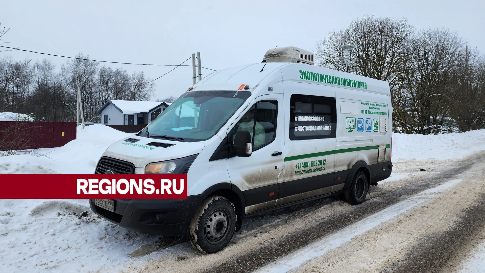 Фото: Светлана Борщева