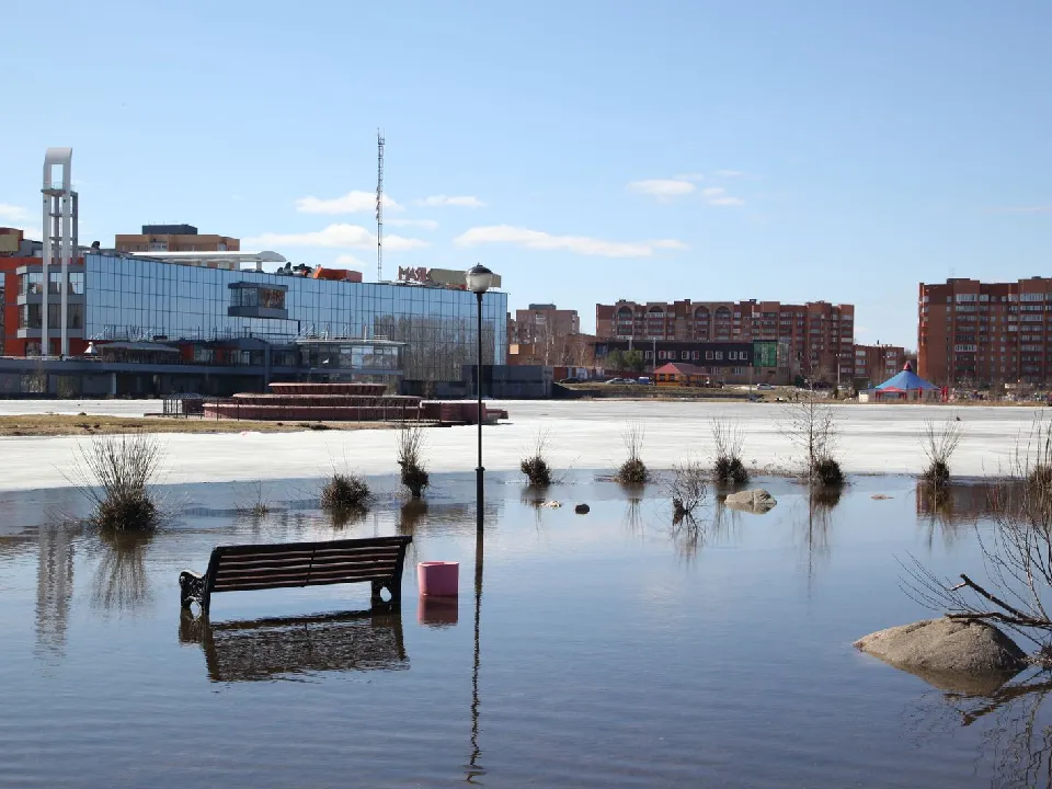 Фото: медиасток.рф&nbsp; &nbsp;