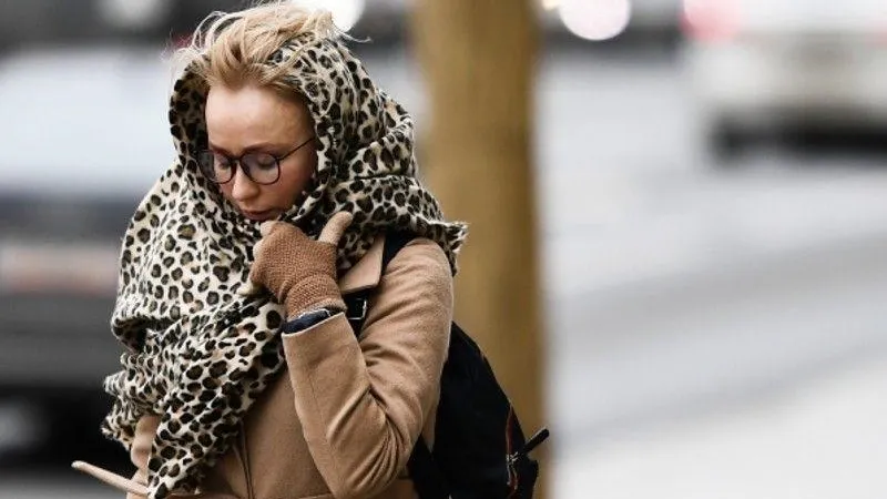 «Желтый» уровень опасности погоды объявили в столичном регионе из-за ветра