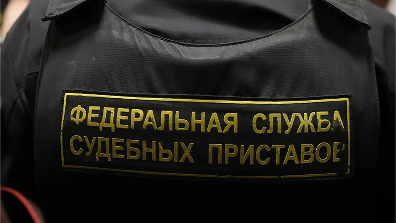 У недобросовестных дачников могут конфисковать участки