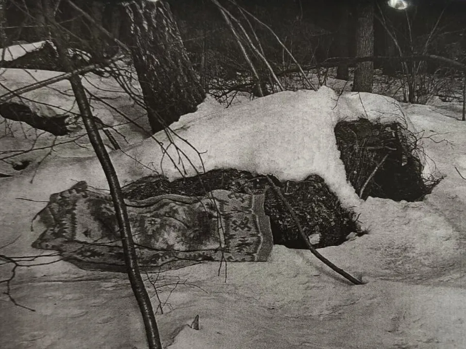 Фото: пресс-служба прокуратуры Московской области