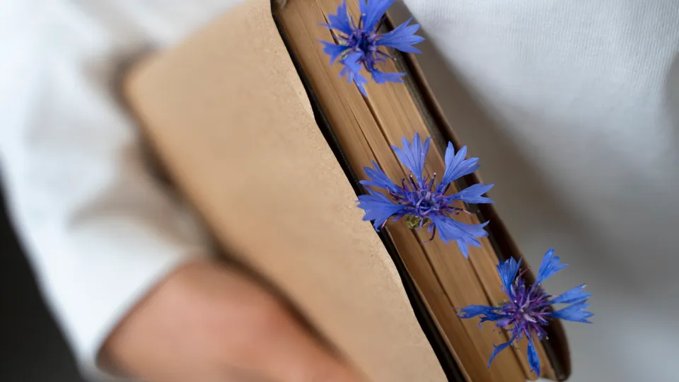 Фото: freepik.com