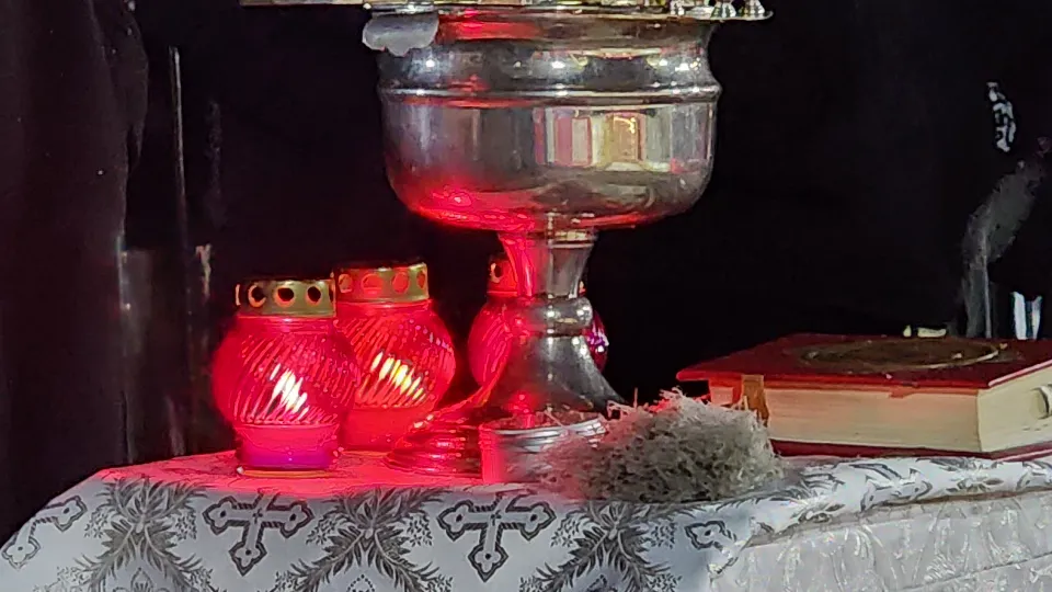 Фото: МедиаБанк Подмосковья/Юлия Смагринская