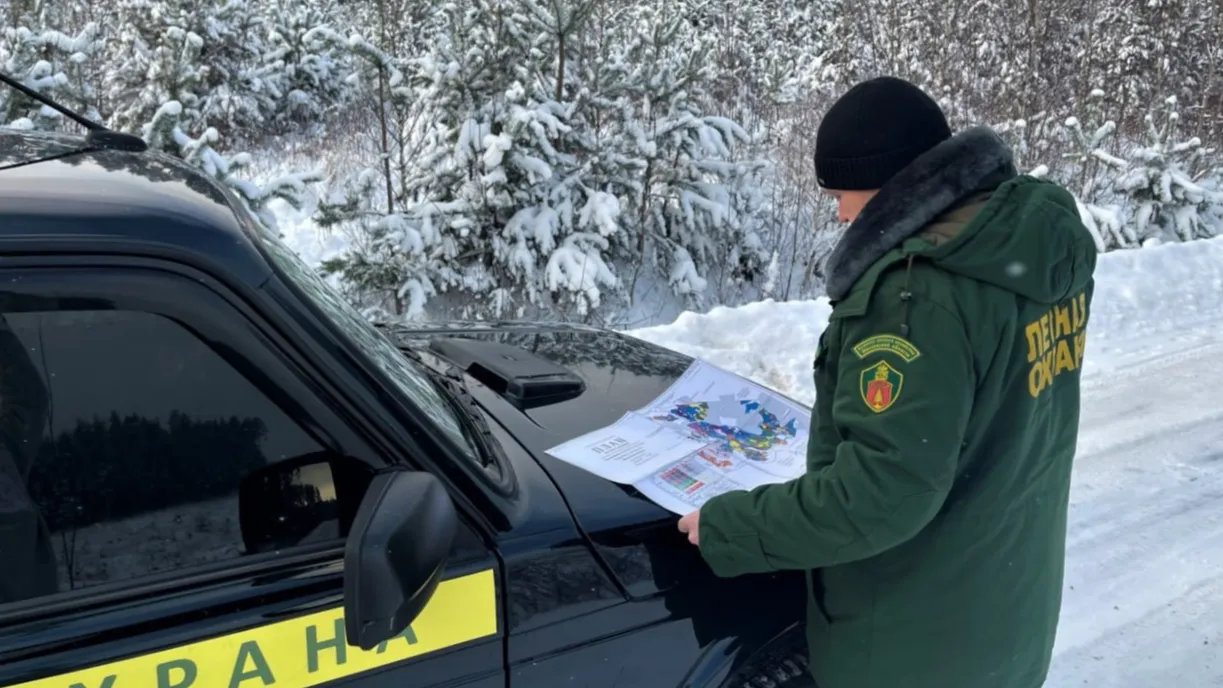 Источник: Комитет лесного хозяйства МО