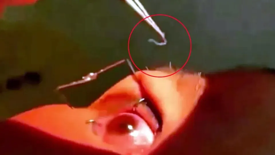 Фото: the-sun.com