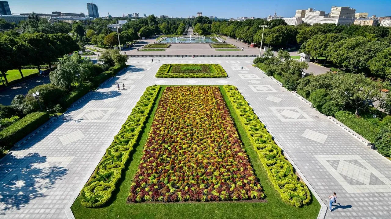 Яндекс.Карты