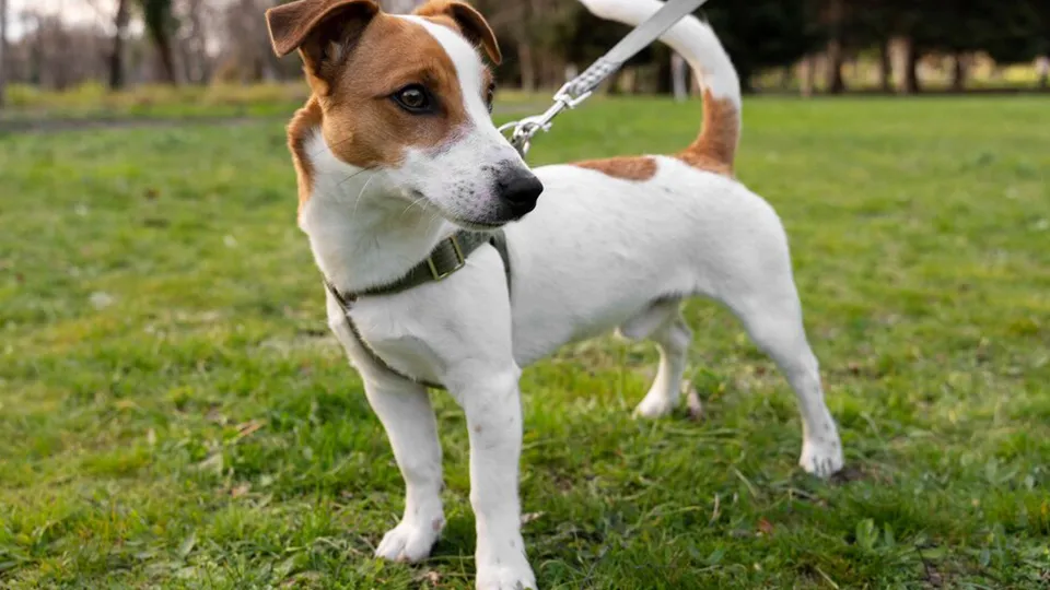 Фото: freepik.com