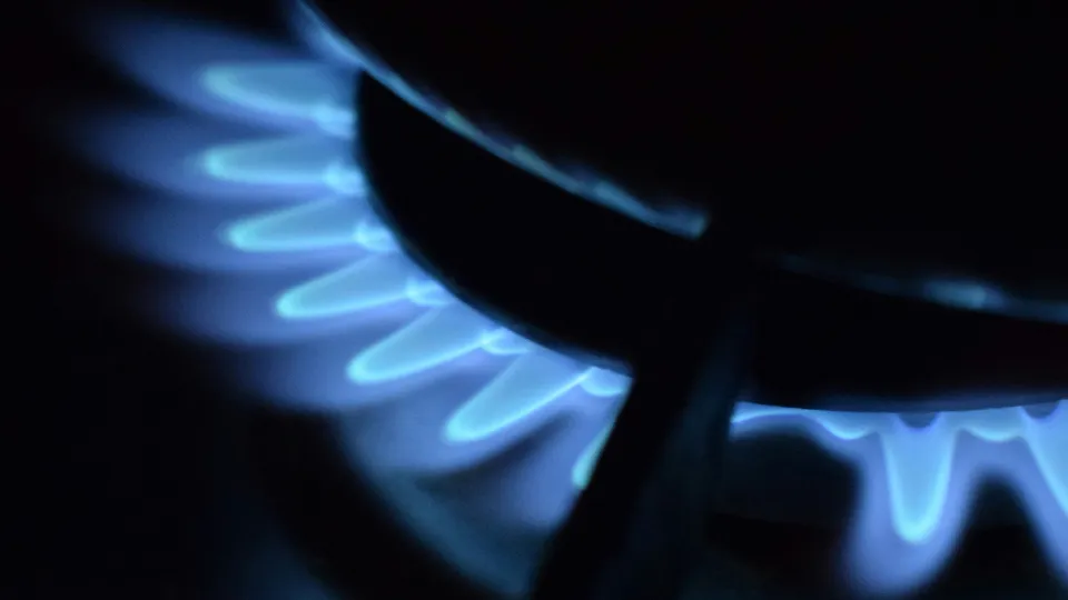 Фото: unsplash.com