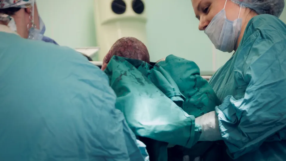 Фото: МОЦОМД