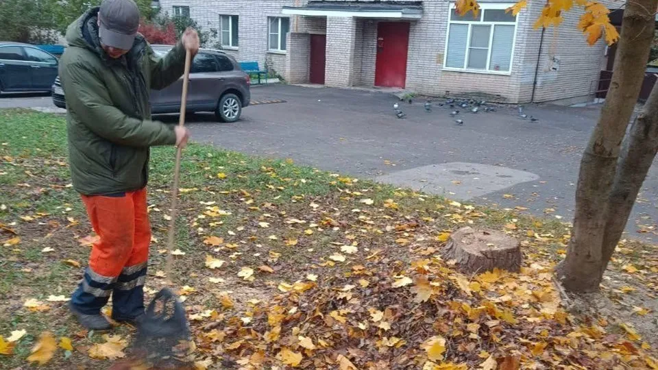 Фото: пресс-служба администрации м.о. Истра