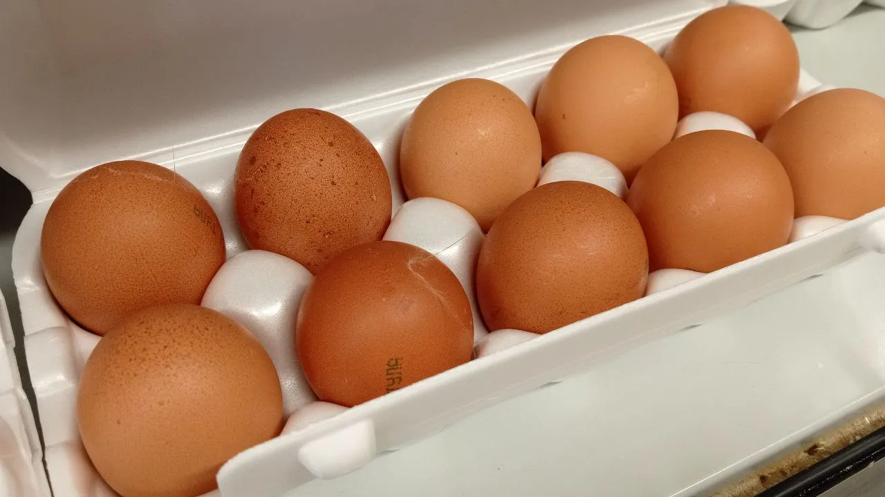 Фото: REGIONS/Василий Тремасов