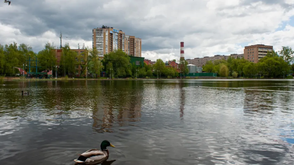 Фото: медиасток.рф