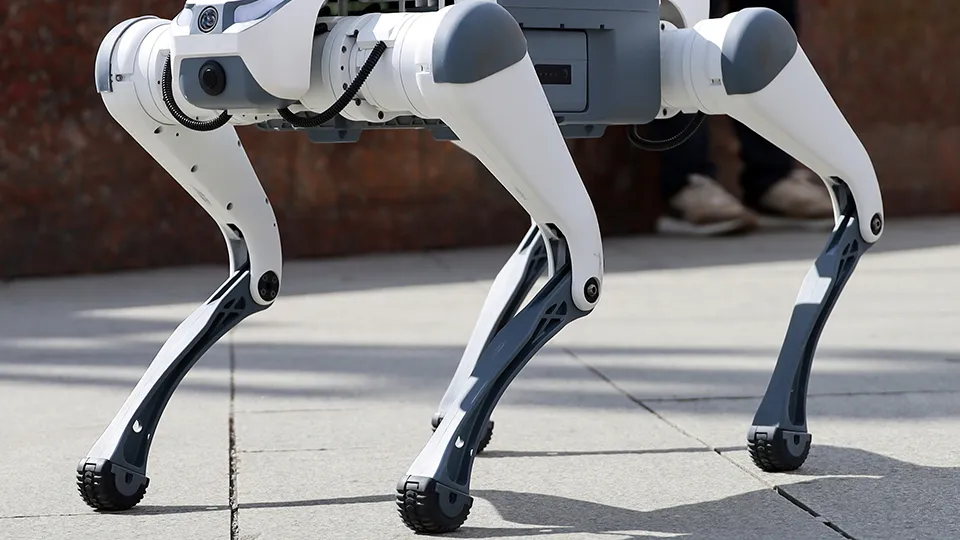 Фото: ТАСС/Олег Елков