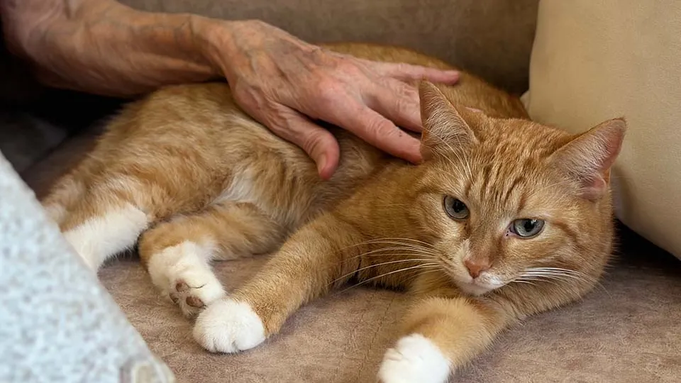 Фото: МедиаБанк Подмосковья/Кристина Тришина