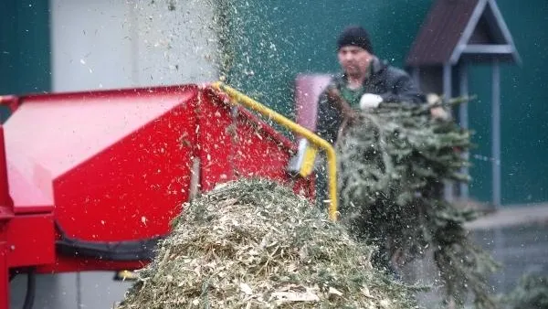 Более 3 тысяч деревьев сдали в первую неделю акции «Подари вторую жизнь своей елке!» в Подмосковье