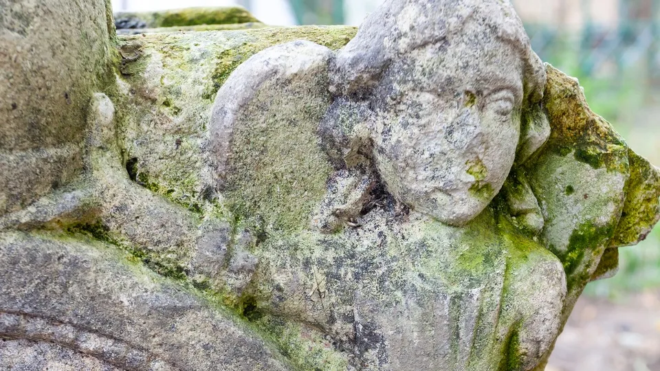 Фото: Владимир Шленсков