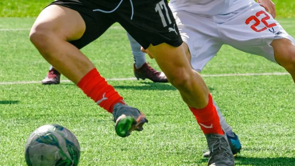 Фото: пресс-служба администрации г.о. Химки