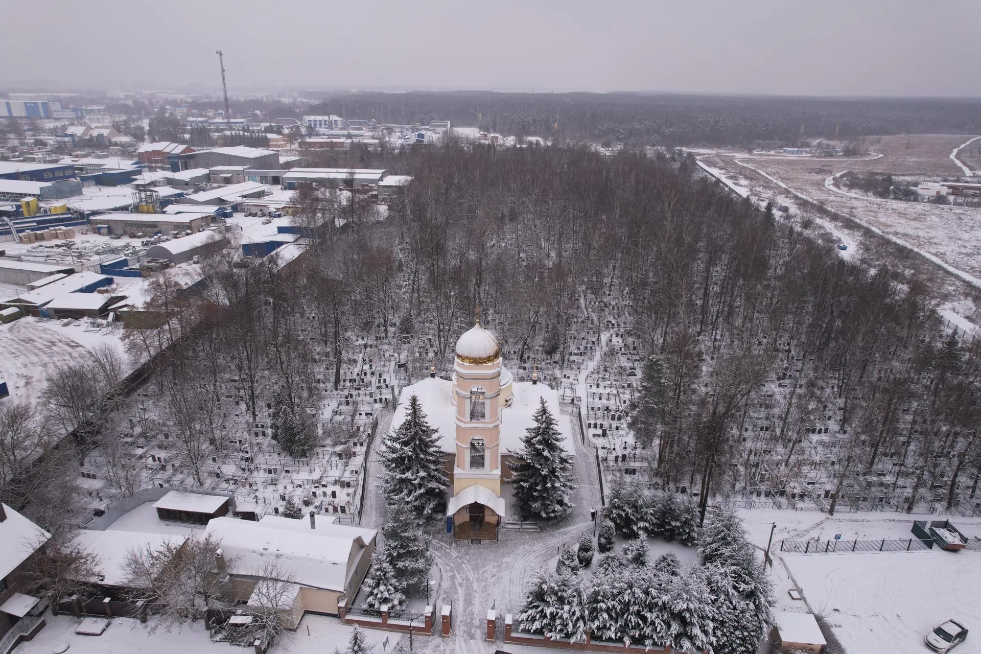 Дарья Московцева
