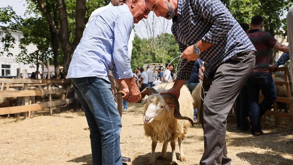 Фото: ТАСС/Елена Афонина