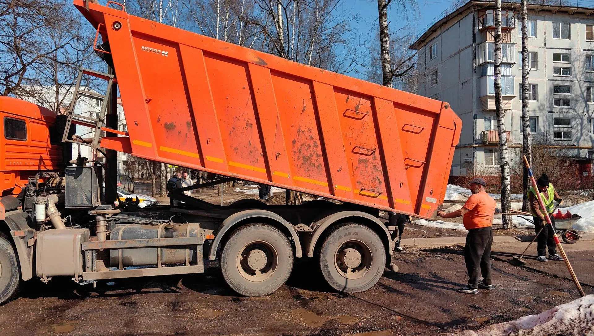 Елена Катасонова