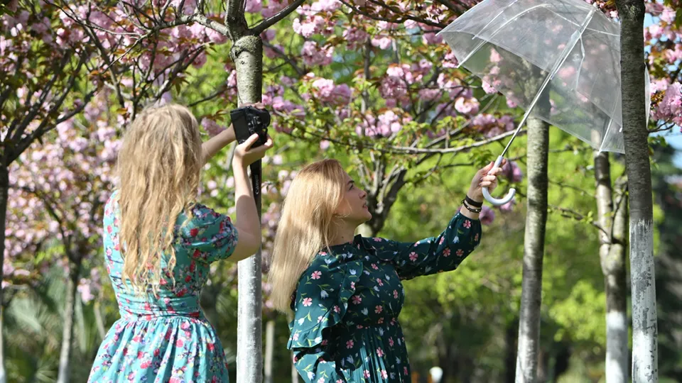 Фото: РИА Новости/Артур Лебедев