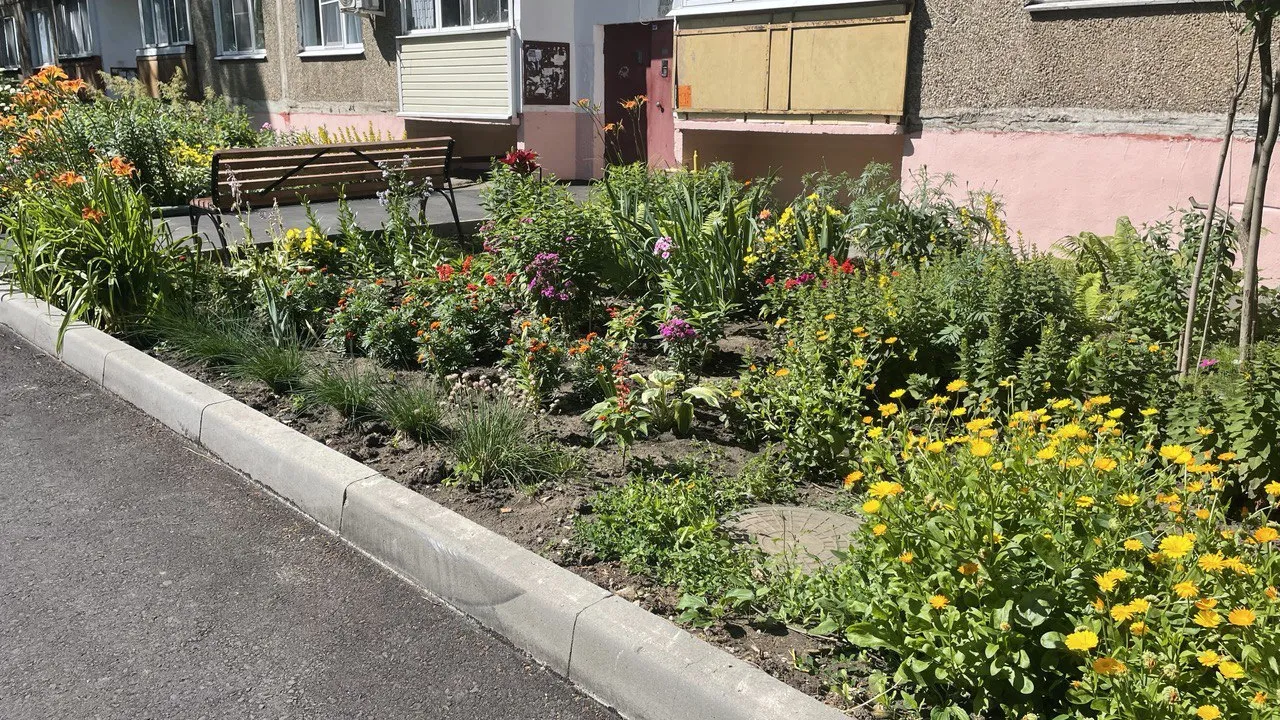 Фото: t.me/OVPavlihin