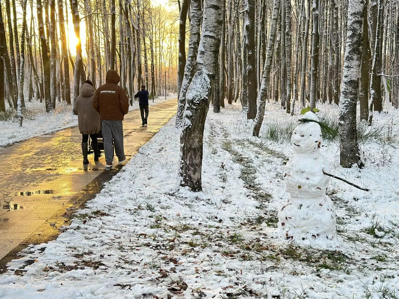 Фото: Министерство благоустройства Московской области