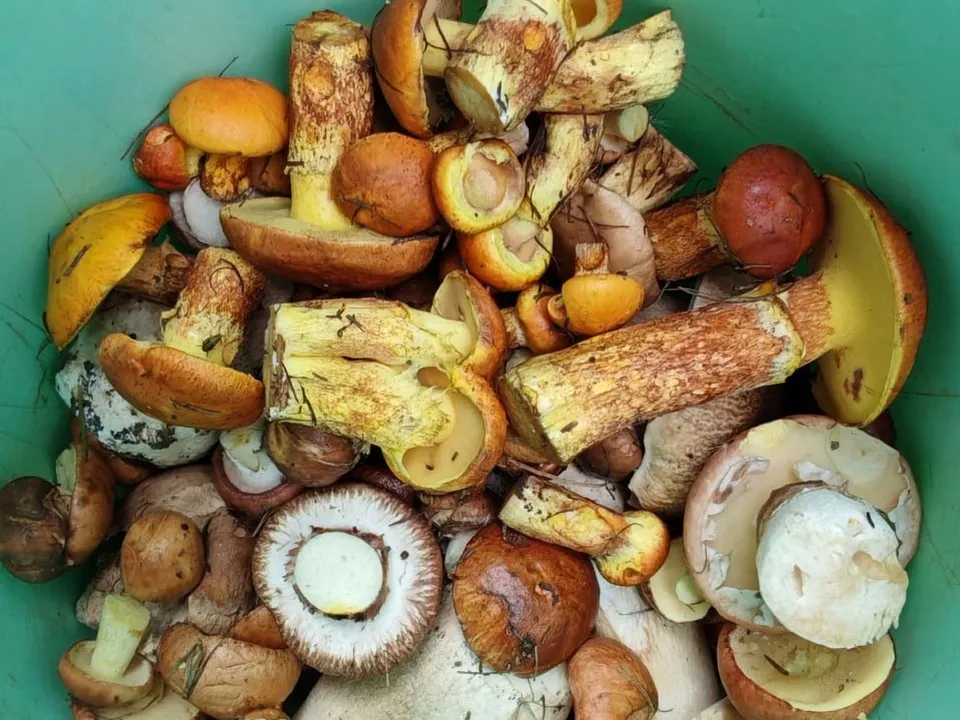 Фото: Константин Кошелев