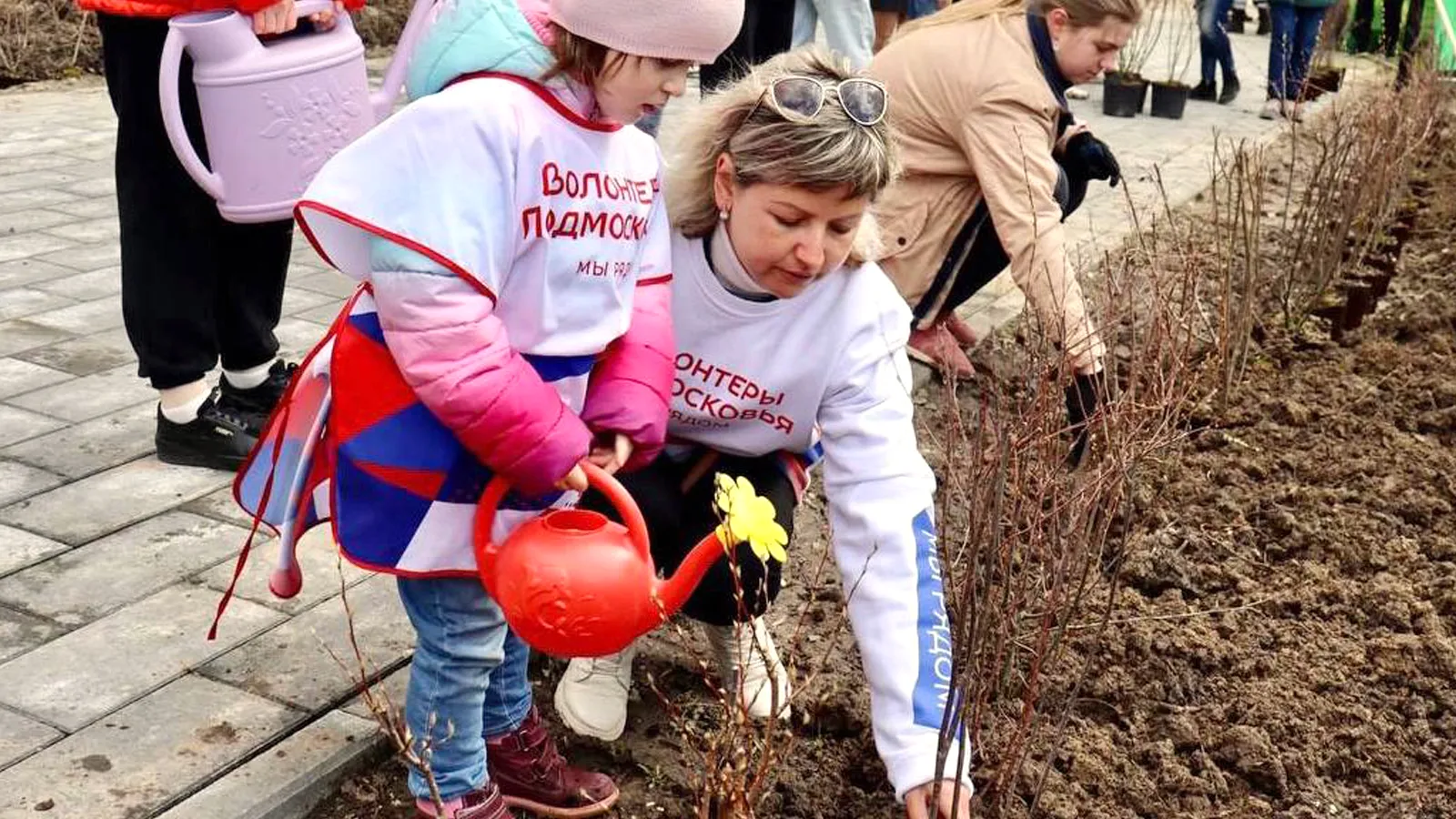 Фото: пресс-служба администрации г.о. Ступино