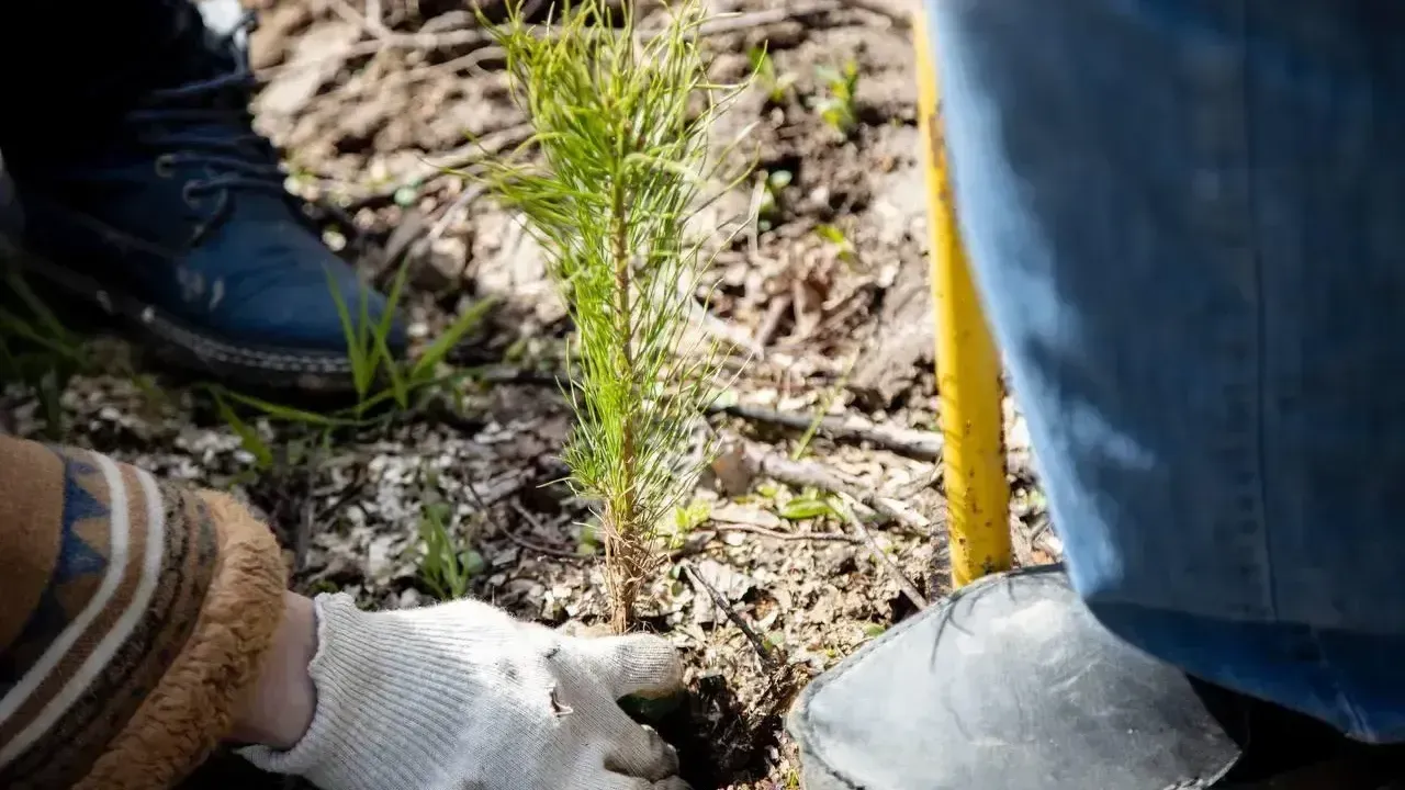 администрация г. о. Домодедово