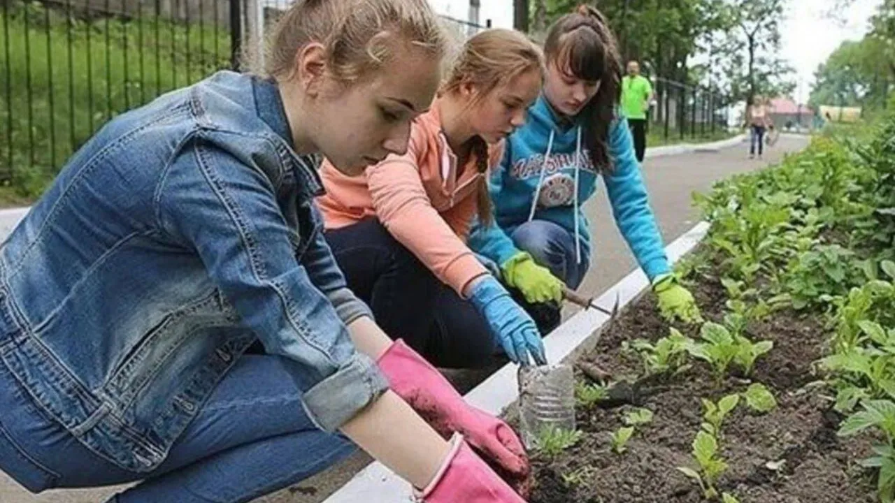 Фото: t.me/ParkVerbilki