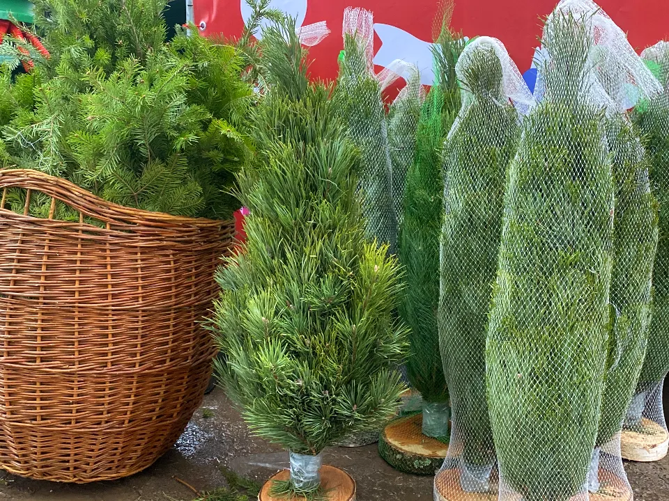 Фото: МедиаБанк Подмосковья/Дарья Шапочкина