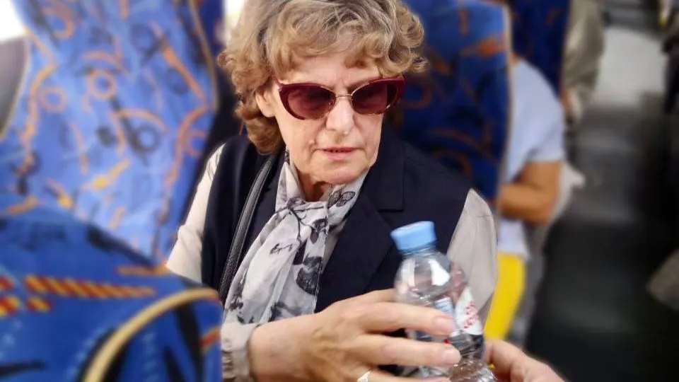 Фото: Минтранс Московской области