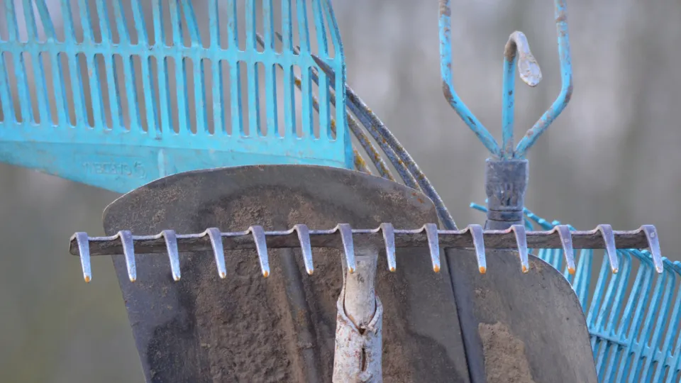 Фото: pxhere.com