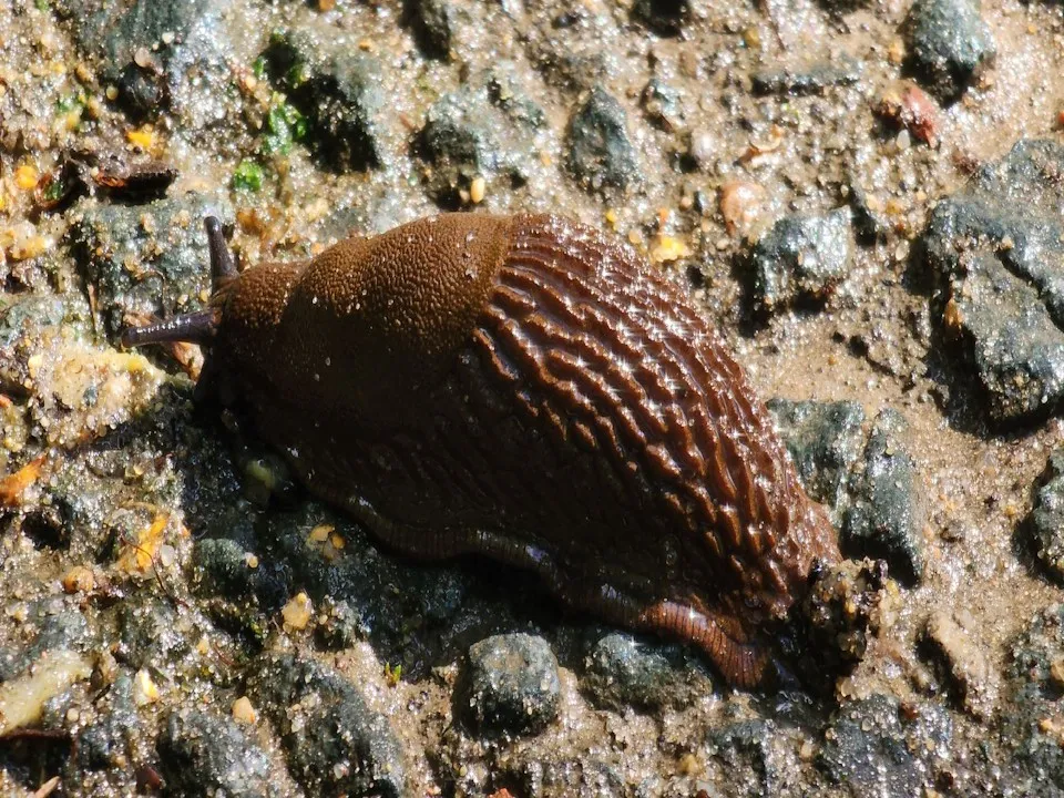Фото: МедиаБанк Подмосковья/Никита Сморкалов
