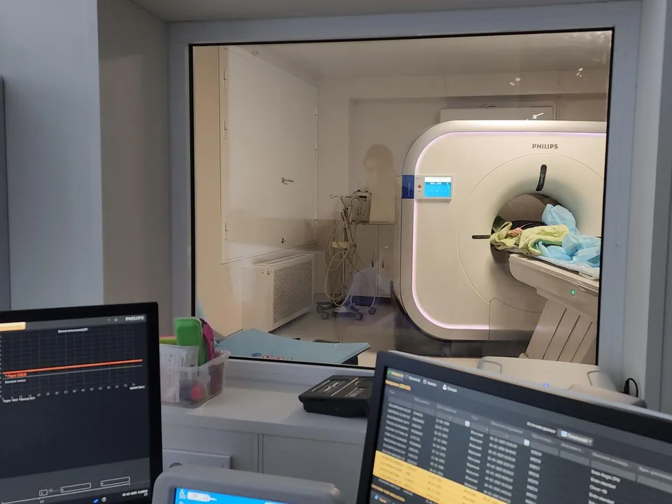 Фото: REGIONS/Артем Мишуков